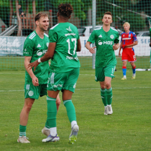 sh-plzen (41).jpg