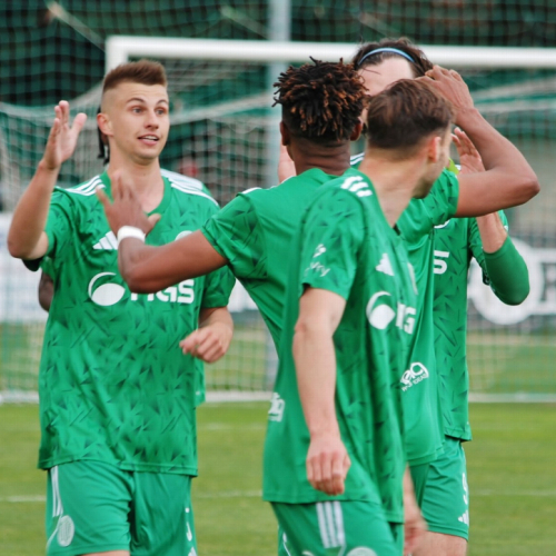 sh-plzen (42).jpg